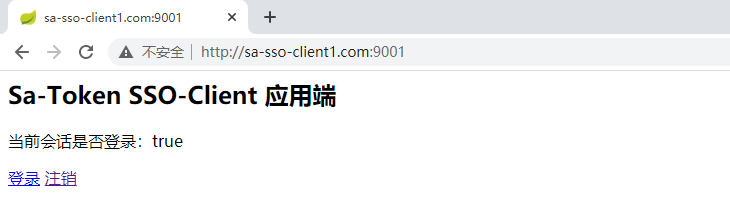 sso-type3-client-index.png