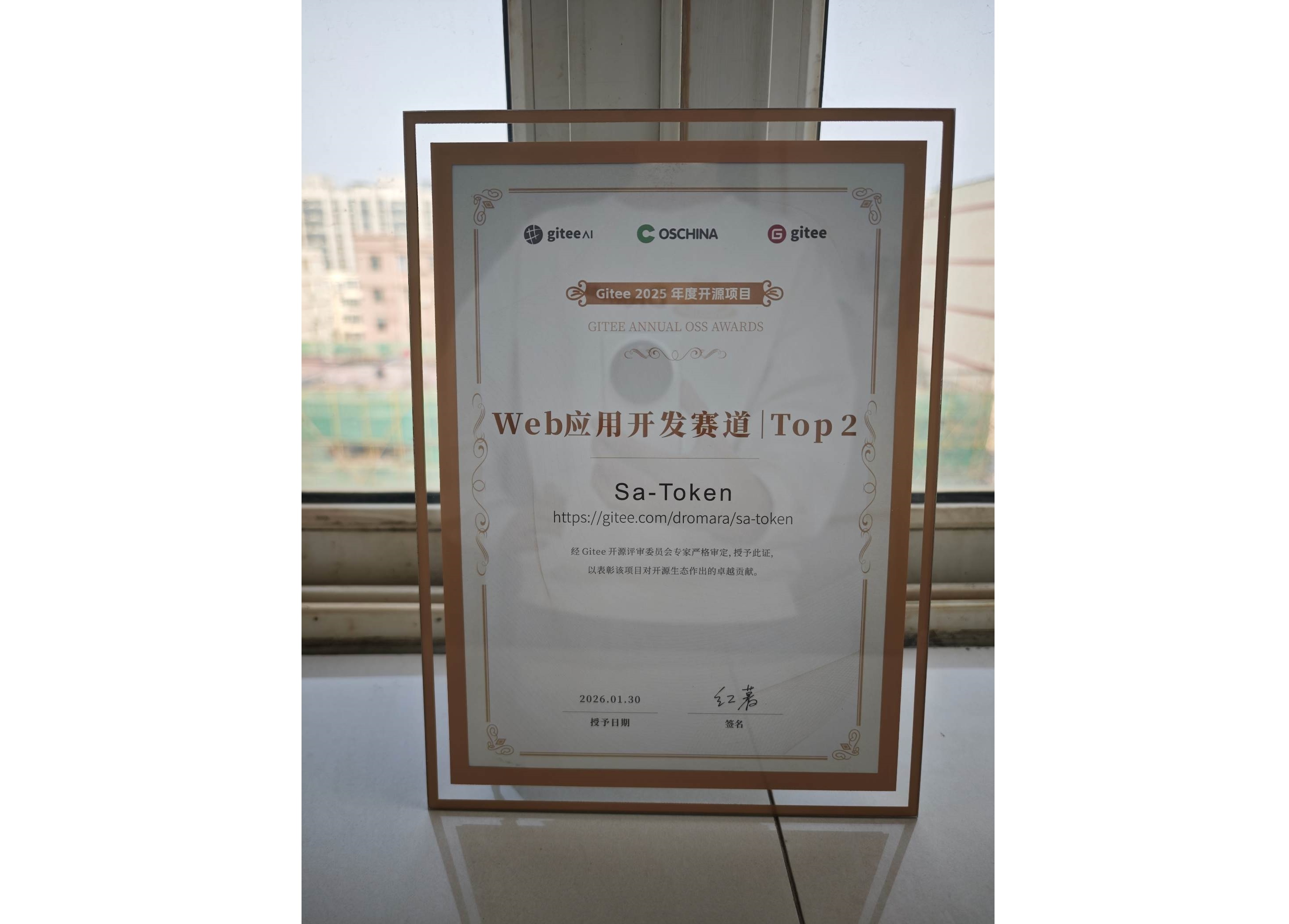 Gitee 2025年度开源项目 Web应用开发 Top 2